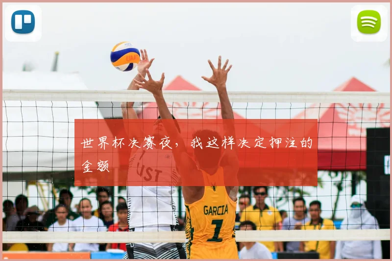 世界杯决赛夜,我这样决定押注的金额