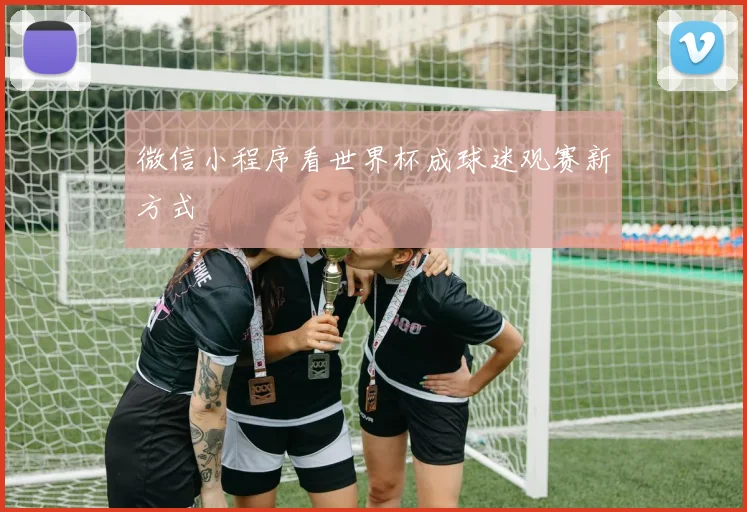 微信小程序看世界杯成球迷观赛新方式