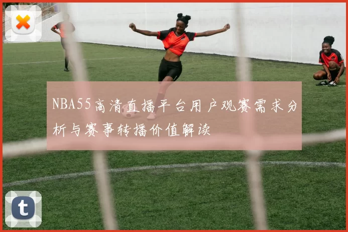 NBA55高清直播平台用户观赛需求分析与赛事转播价值解读
