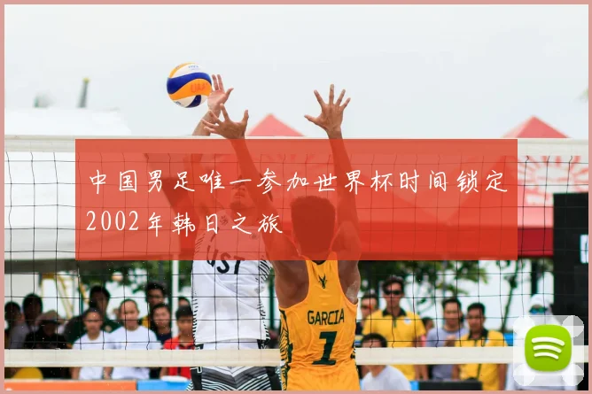 中国男足唯一参加世界杯时间锁定2002年韩日之旅