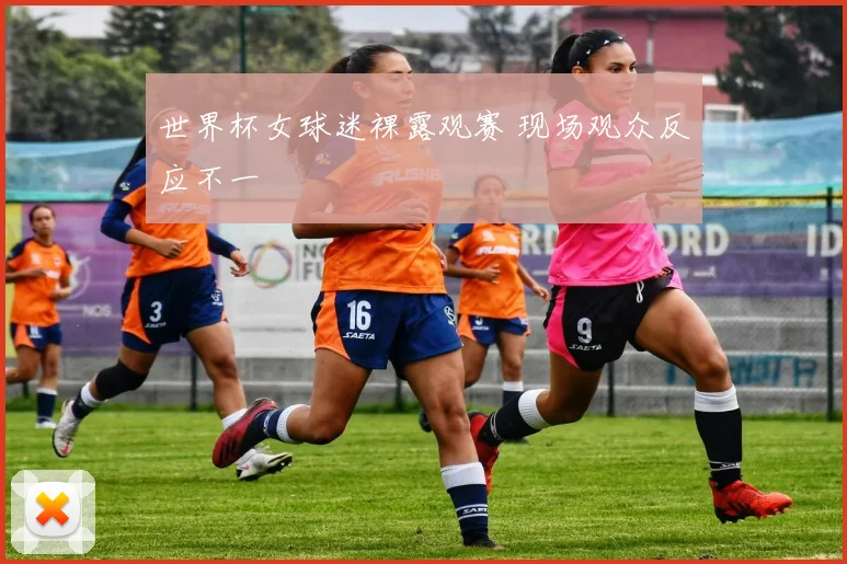 世界杯女球迷裸露观赛 现场观众反应不一