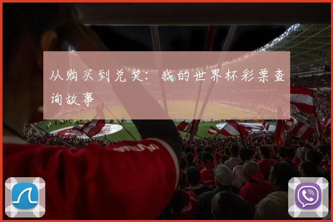 从购买到兑奖：我的世界杯彩票查询故事