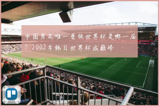 中国男足唯一晋级世界杯是哪一届?2002年韩日世界杯成巅峰