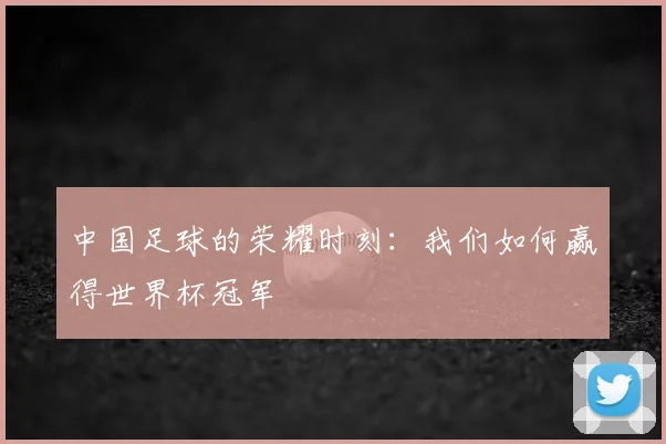 中国足球的荣耀时刻：我们如何赢得世界杯冠军