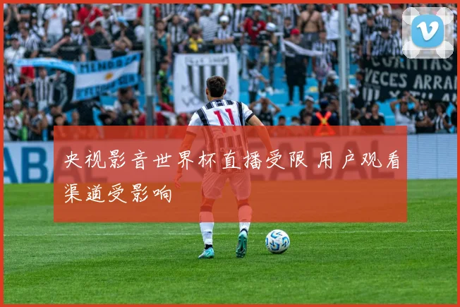 央视影音世界杯直播受限 用户观看渠道受影响