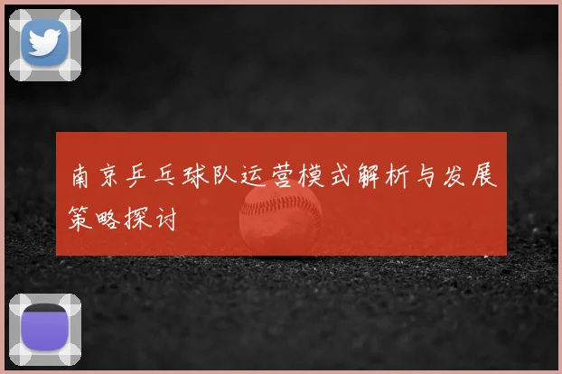 南京乒乓球队运营模式解析与发展策略探讨