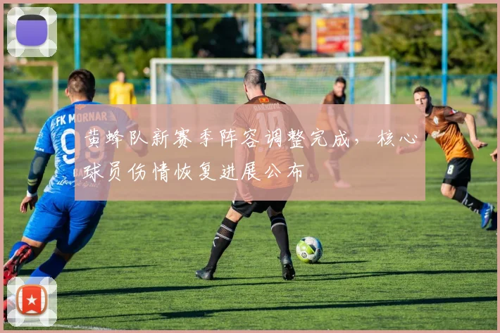 黄蜂队新赛季阵容调整完成,核心球员伤情恢复进展公布