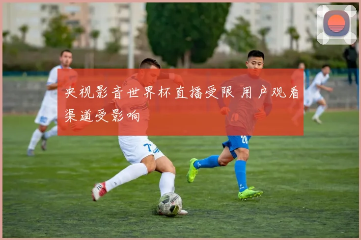 央视影音世界杯直播受限 用户观看渠道受影响