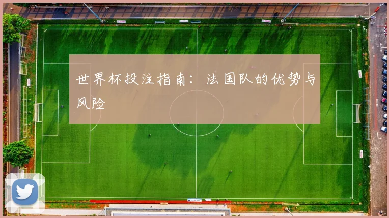 世界杯投注指南：法国队的优势与风险