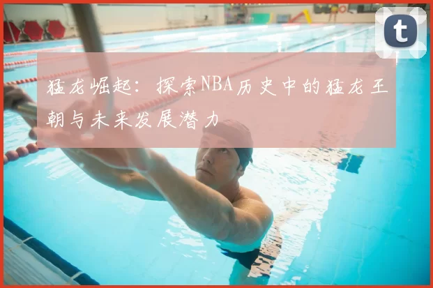 猛龙崛起：探索NBA历史中的猛龙王朝与未来发展潜力