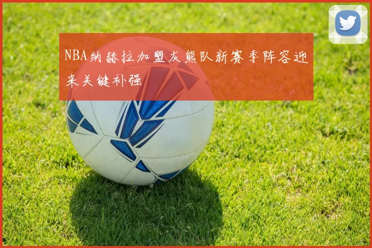 NBA纳赫拉加盟灰熊队新赛季阵容迎来关键补强
