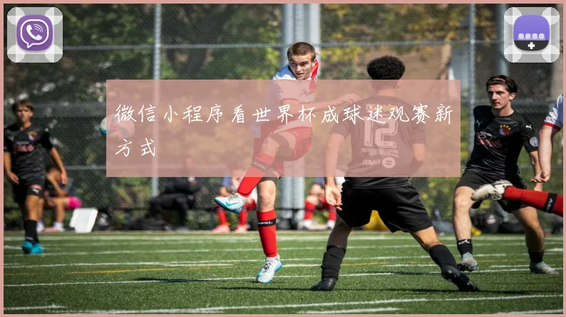微信小程序看世界杯成球迷观赛新方式