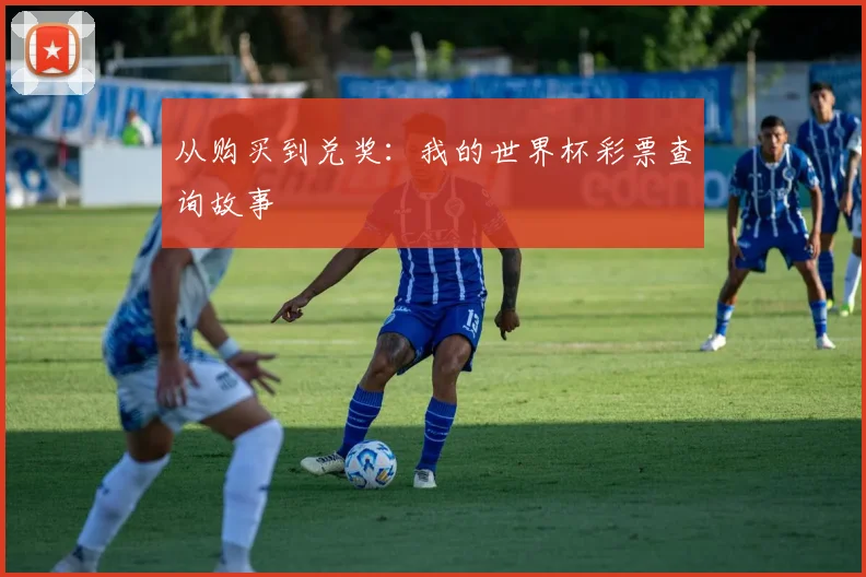 从购买到兑奖：我的世界杯彩票查询故事