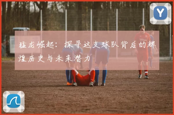 猛龙崛起：探寻这支球队背后的辉煌历史与未来潜力