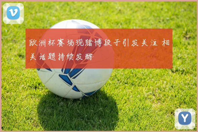 欧洲杯赛场现赌博段子引发关注 相关话题持续发酵