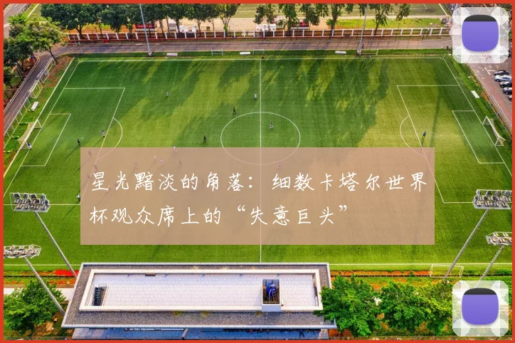 星光黯淡的角落：细数卡塔尔世界杯观众席上的“失意巨头”