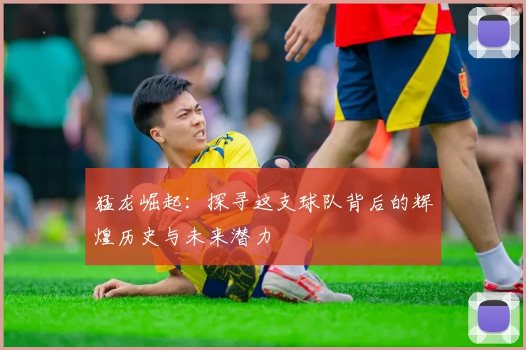 猛龙崛起：探寻这支球队背后的辉煌历史与未来潜力