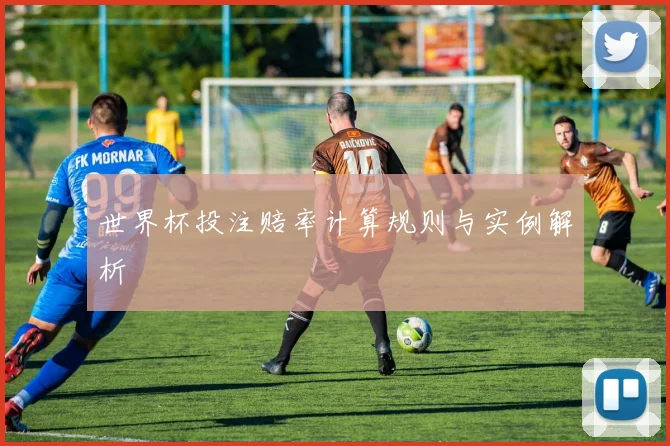 世界杯投注赔率计算规则与实例解析