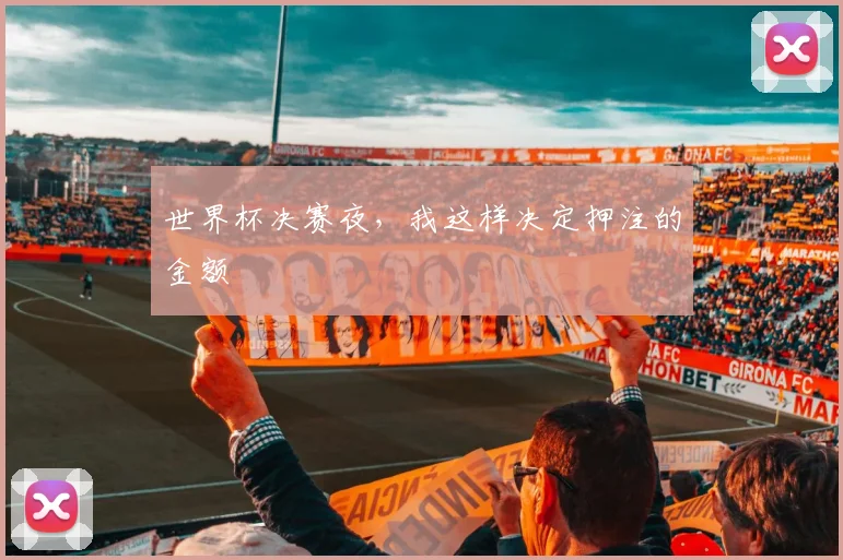 世界杯决赛夜,我这样决定押注的金额