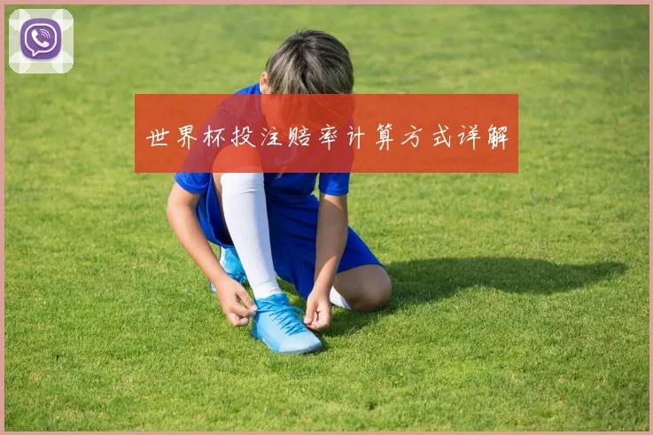 世界杯投注赔率计算方式详解