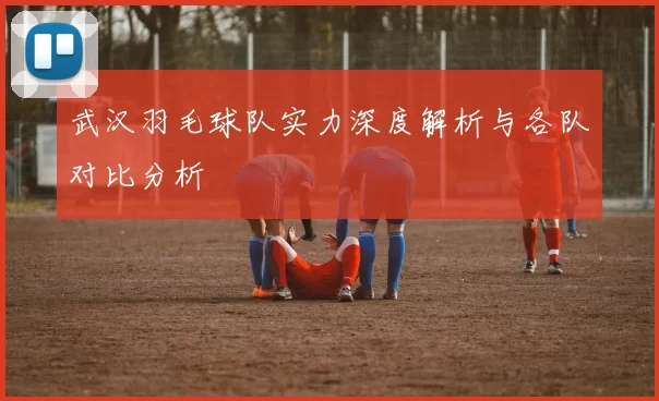 武汉羽毛球队实力深度解析与各队对比分析