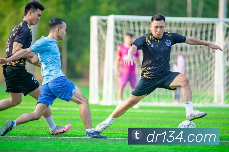 星空体育服务体系