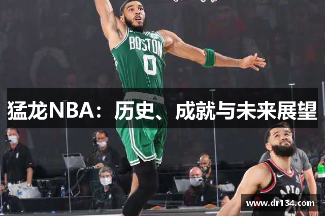 猛龙NBA：历史、成就与未来展望