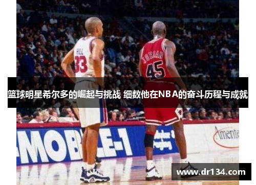 篮球明星希尔多的崛起与挑战 细数他在NBA的奋斗历程与成就